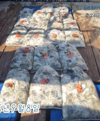 <뉴오리온호> 쭈꾸미 종일 마무리 조황(8일)-내일 쭈꾸미 자리있습니다.