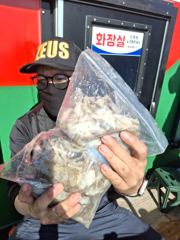 오늘의 조황 - 9월7일 쭈꾸미 출조 - 영흥도 아이리스호 루어다운샷외수질