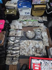 출조안내 - //인천 도담 낚시 22인승 버스운영 ////// 9월 무창포 쭈꾸미 13일 일요일 17일 목요일 22일 화요일 사이트오픈 /////9월20일 고흥 붉바리, 문어 출조//////// 사진
