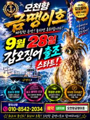 [금땡이호] 오천항금땡이호 9월8일 쭈&갑 조황
