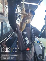 9월8일 쭈꾸미 조황 입니다.