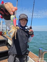 쭈꾸미 조황 제대로 살아납니다! 물때 좋은 다음주 자리 여유있습니다! 함께하시죠!!