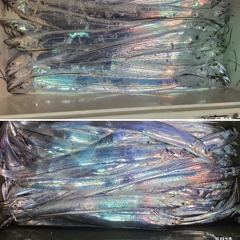 [ 갈치 텐빈 텐야 ] 소지도권 만쿨 반쿨