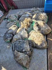 오늘의조황 - 헌터호 9월8일 쭈갑 망태기 조황입니다!! - 홍원항 항구낚시