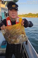 [사천] 돌문어 평일오전10시출조 주말오전6시출조