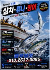 [경주] 지속된 북동기류, 대삼치 포인트 상황! (금욜부터 출항 가능해요…