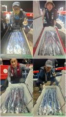 갈치한치조황++ - 백도권!! 풍성한 갈치로 쿨러가득!! 사진