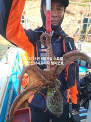 9일, 주간문어 오늘도 나와요~~부쩍 커진 문어 굿~내일도 출조합니다~군산 챔피언호