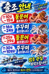 [사천] 돌문어~금,토,일~주간/야간~출조~예약받습니다.