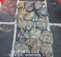 루어파이터호-9/9 수 [4물] 쭈꾸미/갑오징어 조항 입니다.