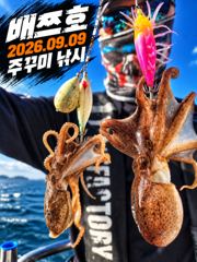 오늘의조황 - [배쯔호] 9월9일 주꾸미낚시 - 마검포 팀바이트호,선상낚시 전문