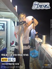 텐야텐빈 내일 소수인원도 출항확정입니다