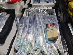 (南)남해조황 - 우와~10일새벽 내만갈치 연일 초초대박~!!전원 만쿨~쿨러넘쳐~!!(오늘 예약중)