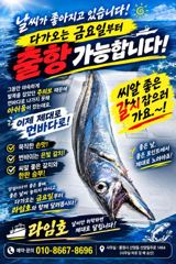 출조안내 - 통영VIP만물호 먼바다왕갈치 금요일 쿨러꽉꽉 담으로 갑니다!!