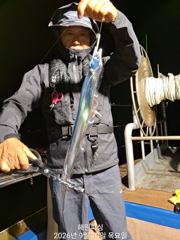 [진해] <내만갈치>10일입항 피딩 피딩 전원쿨러 만땅