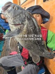 10일,날마다 쏟아지는 대광어~참돔,우럭등~오늘도 시작 굿~실시간 ~내일도 출조~군산낚시프라자 범고래호