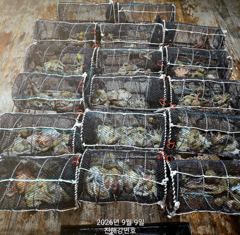 (문어)먹폭!!! 세자릿수 행진 15수 장원 K급까지~강민호(오늘 예약)