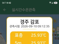 [경주] 대삼치 캐스팅, 금욜부터 출항 가능해집니다!