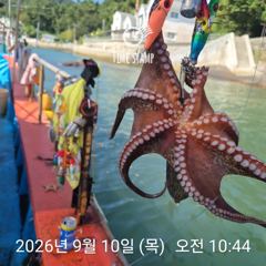 [사천] 암초 포인트 문어 낚시