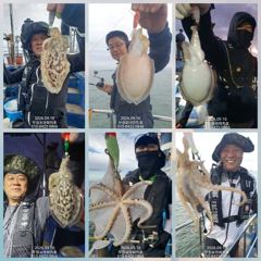 쭈.갑 먹물조황+ - [무창포아파치호] 9월10일(목), 쭈꾸미들 따박따박, 마릿수의 망태기 푸짐한 조황. 다음주 화,수요일(15일,16일) 자리여유, 예약문의는 010-8422-0866