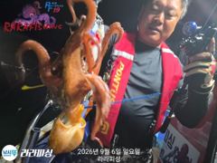(南)남해조황 - (야간문어)금.토.일.예약가능 무너 쭈욱 달려보겠습니다