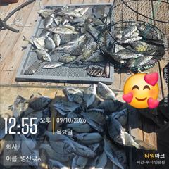 1시간전 [통영] (문어)특大 씨알 제수 준비 여밭권 직항~홍부장피싱(11일 예약)