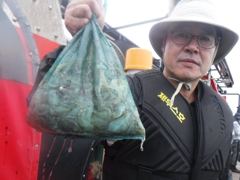 [먼바다낚시]9월10일조황