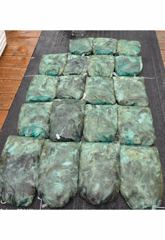 [먹물조황] 9월10일 주꾸미 조황(굿~!!)