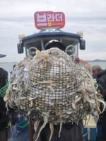 목감낚시[대천브라더호] 10일철수 쭈.갑조황 잘 나왔습니다