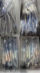 [진해] "내만갈치"손맛~입맛까지~!!쿨러가득가득~(오늘"3자리"예약가능…