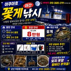 평일 ,오후 쭈꾸미 ,야간꽃게 ,생미끼 출조 합니다