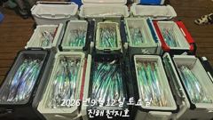 [진해] 내만갈치 마릿수 정말 많아요~~~예약가능