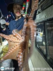 [사천] 오늘저녁 야간문어 원도권 출항 확정 사진