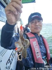 쭈꾸미조항 입니다 ~13일 일욜(출항확정) 예약가능합니다 사진