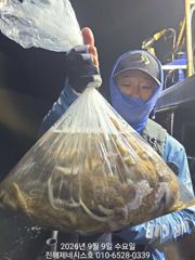 문어] 일요일 야간(오후4시~11시) 예약가능~ 일요일도 고고 사진