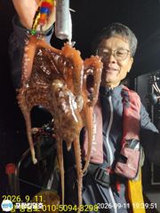 [포항] 돌문어 잘 올라 옵니다.일요일 오전.오후 예약중