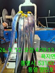 통영 경민호 12일 갈치 입항 조항