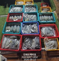 [진해] 팁런무늬오징어 연일세자리 내일예약가능합니다