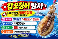 <발키리호> 오전 쭈꾸미 조황입니다.(12일)