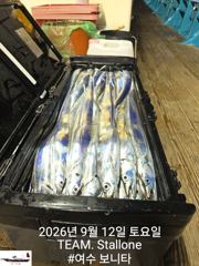 12일(토요일)여수먼바다 씨알좋은 왕~갈치 쿨러 대박조황입니다