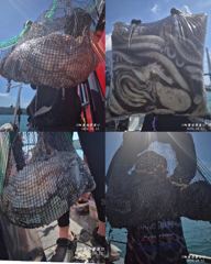[고흥,녹동] <고흥녹동>청룡호. 12일 돌문어 대사리물때 조황소식!