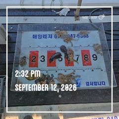 (南)남해조황 - 해양레저 무늬오징어 돌문어 조황