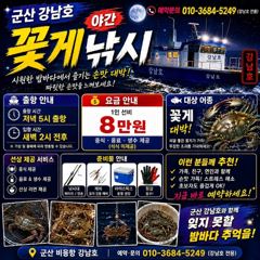 야간꽃게.종일오후 쭈꾸미 생미끼 출조합니다
