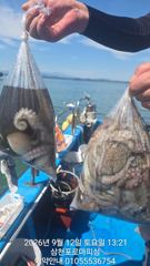 (삼천포)문어 두 자릿수 기본 장원 20수 핫조황~로마피싱(14일예약) 사진