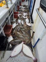 생미끼외수질 글만 보기