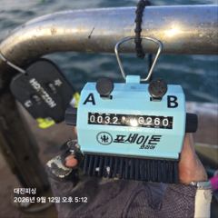9월12일 쭈꾸미 조황입니다~