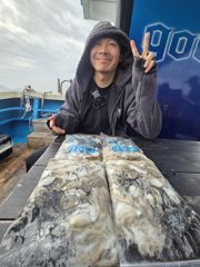 9월12일조황