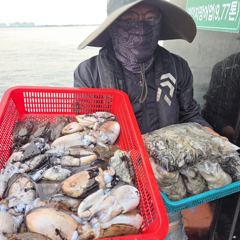 인천 [마린스타 1호 & 3호] 9월 12일(토) 장원 341마리!!!! [쭈꾸미] 조황!!!
