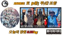 쭈.갑 먹물조황+ - 12일 공현진항 안슨장호 피문어 조과입니다. 사진