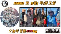 9/12 토 [8물] 쭈꾸미/갑오징어 조항 입니다. 사진
